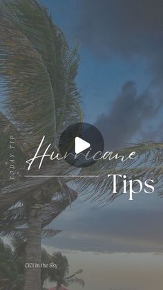 a palm tree with the words huu - care tips in white and black on it