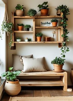 a living room filled with lots of plants and potted plants on top of wooden shelves