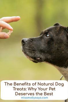 the benefits of natural dog treats - why your pet deserves the best treat for you