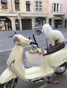 a scooter with a dog sitting on the back