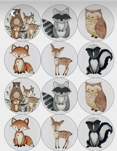 the twelve woodland animals are depicted in this image