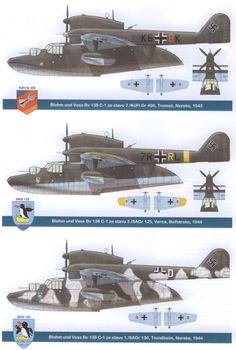 Blohm und Voss Bv 138 China Photo, Aircraft Painting