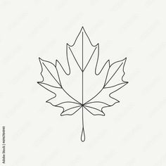 the outline of a maple leaf