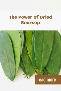 the power of dried sourspp