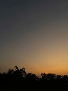 an airplane flying in the sky at sunset with trees and bushes behind it, as the sun is setting