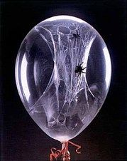 a large balloon with spider webs attached to it