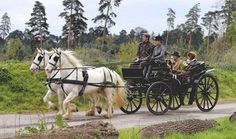 people riding in a horse drawn carriage on a road with trees and grass behind them