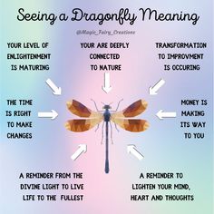 Dragonfly Spirit Animal Meaning, Seeing A Dragonfly Meaning, Dragonfly Significance, Insect Meaning Spiritual, Dragonfly Spirit Animal, Seeing Dragonflies Meaning, Dragonflies Meaning, Dragonfly Tattoo Meaning