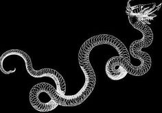 a drawing of a snake on a black background