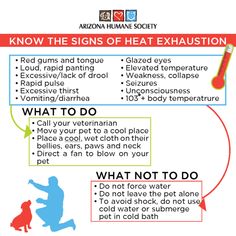 Heat Exhaustion In Dogs, Heat Intolerance, Emergency Preparedness Food Storage, Glazed Eyes, Emergency Preparedness Food, Sun Protective Clothing, Vet Med