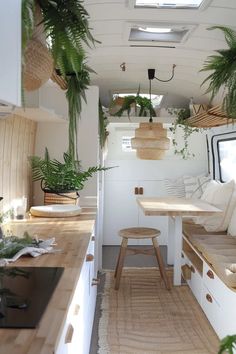 the inside of a camper with plants hanging from it's ceiling and benches