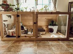 a cat house made out of wood and glass with plants in the window sill