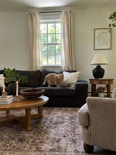 a cat sitting on the back of a couch in a living room next to a window