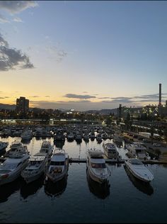 many boats are docked in the water at sunset or dawn, with city lights and buildings in the background