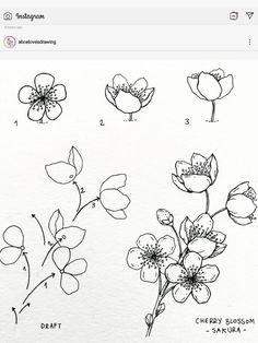 an image of flowers drawn on paper