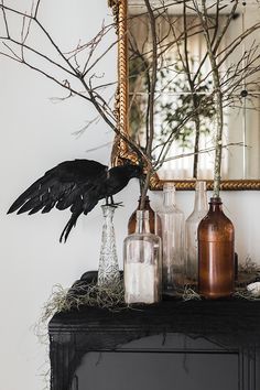 a black bird sitting on top of a table next to bottles and branches in front of a mirror