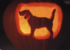 a carved pumpkin with a dog on it