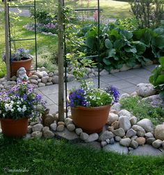 a garden with lots of plants and rocks