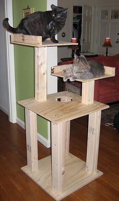 two cats sitting on top of wooden furniture