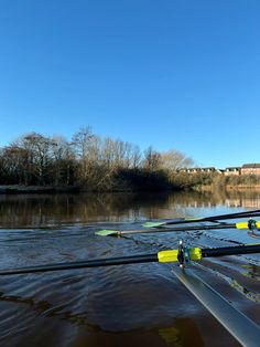 several rowing oars are lined up on the surface of the water, with trees in the background