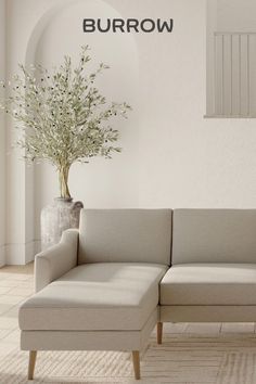 a white couch sitting next to a plant in a living room