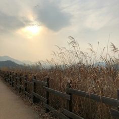 the sun shines brightly through the clouds above tall grass on a dirt path in front of a wooden fence