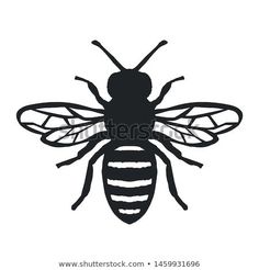 black and white silhouette of a bee on a white background stock photo © shutterstocker