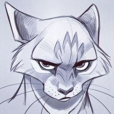 a drawing of a cat's face with an angry look on its face and eyes