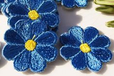 three blue flowers with yellow centers sitting on top of a white table next to green beans