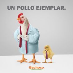 a chicken standing next to another chicken in front of a sign that says, un polo ejemplarr