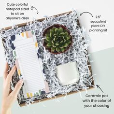 an open box containing a notepad, plant and other things to write on it