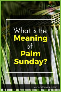 palm leaves with the words what is the meaning of palm sunday? in yellow and green