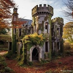 an old castle with ivy growing all over it's walls and windows, sitting in the middle of a forest