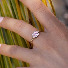 14k Yellow Gold Ring with Natural Sapphires and Diamonds. A delightful cluster of pink Sapphires, inspired by the seasonal beauty of Sakura or cherry blossom, all set on our signature band of Diamond stars. A bloom representing mortality, mindfulness and living in the present, Japanese cherry blossoms are a timeless metaphor for human existence. Blooming season is powerful, glorious and intoxicating, but tragically short-lived‚ this stunning piece reminder to enjoy the beauty within every given Japanese Cherry Blossoms, Audry Rose, Living In The Present, Human Existence, Sapphire And Diamond Ring, Japanese Cherry Blossom, Diamond Star, Natural Sapphire, Cherry Blossoms