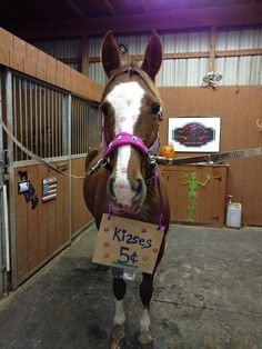 a brown and white horse with a sign in its mouth