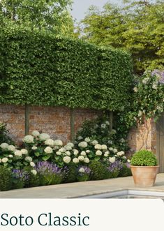 an image of a garden with flowers and plants in pots next to a brick wall