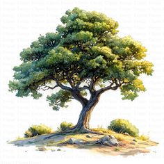 a painting of a tree on top of a hill