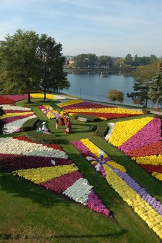 people are standing in the middle of a flower garden that is shaped like a wave