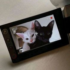 two black and white cats are on the screen of a cell phone