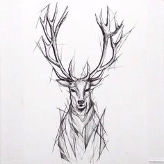 a pencil drawing of a deer with antlers on it's head and neck