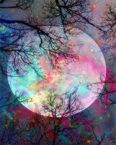 Colored Moon The Sky, Trees, Moon, Stars