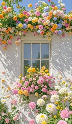 Best Flowers For Front Of House, Billionaire House, Pretty Flowers Pictures, Plants Aesthetic, Very Beautiful Flowers, Flower Window, Flower Plants