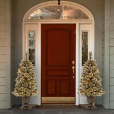 two potted christmas trees in front of a red door with white trimmings