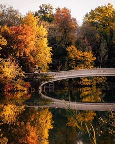 a bridge over a body of water surrounded by trees with fall colors on it and leaves all around