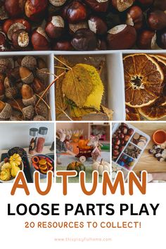 The pin features four images. The first is an overhead photograph of conkers, acorns, leaves and dried oranges in a plastic IKEA glis box. The bottom right image shows mini pumpkins and wooden rings in a play kitchen. The central image shows Maileg mice with real mini pumpkins and the final is an angled shot of an IKEA Glis box with conkers, wood slices, acorns and pompoms. The text reads Autumn loose parts play 20 resources to collect! Autumn Early Years, Autumn Sensory Play, Thanksgiving Provocations, Loose Parts Play Preschool, Loose Parts Activities, Loose Parts Preschool, Door Classroom, Halloween Activities For Toddlers