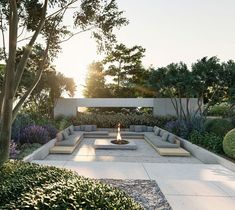 an outdoor fire pit surrounded by bushes and trees with the sun shining in the background