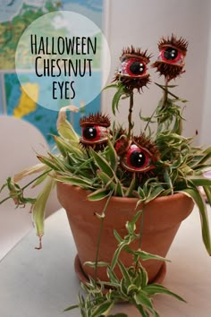 there is a potted plant with fake eyes in it and the words halloween chestnutnut eyes