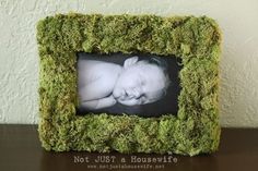 a moss frame with a baby sleeping in it