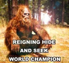 a bigfoot sitting in the middle of a forest with text reading, reigning hide and seek world champion