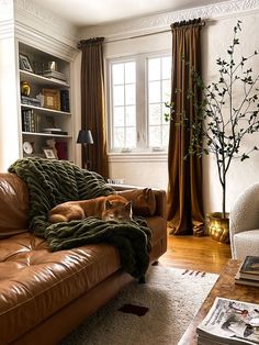 a brown leather couch sitting in front of a window